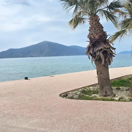 El-xho فلورا